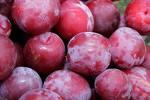 Image for Plums 