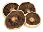 Image for Mushrooms - Flat